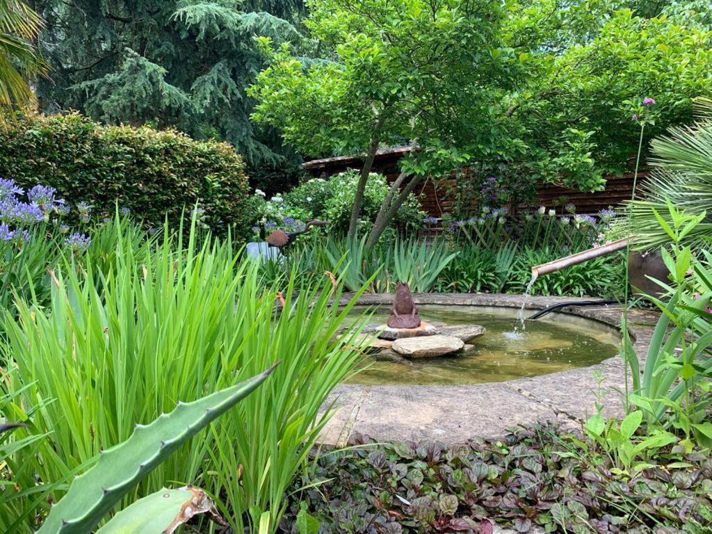 Maison En Pierre Dans Son Nid De Verdure Roz-Landrieux Екстер'єр фото