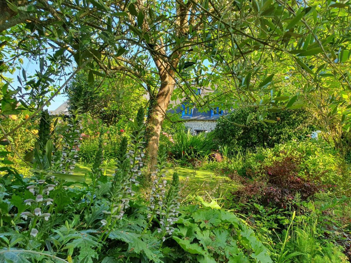 Maison En Pierre Dans Son Nid De Verdure Roz-Landrieux Екстер'єр фото