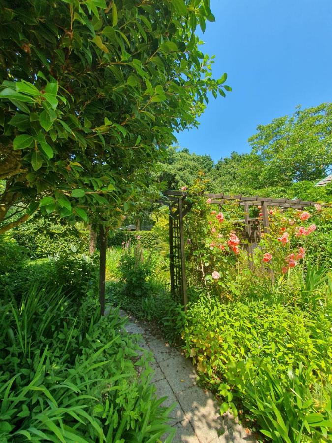 Maison En Pierre Dans Son Nid De Verdure Roz-Landrieux Екстер'єр фото