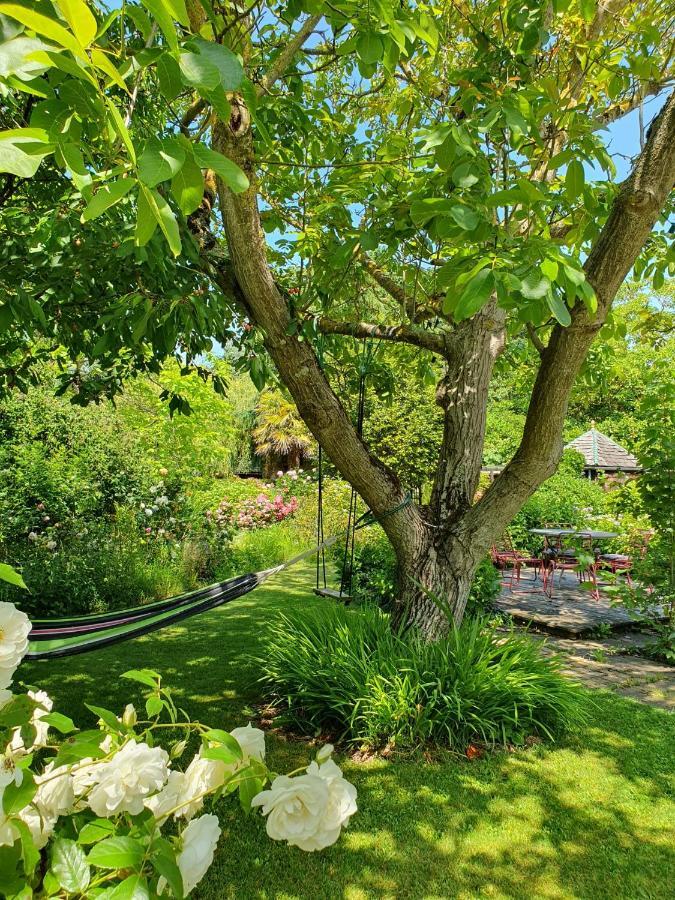 Maison En Pierre Dans Son Nid De Verdure Roz-Landrieux Екстер'єр фото